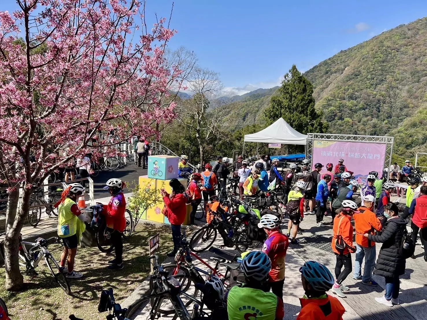 北橫櫻花勇士完騎認證完美落幕 700位車友不畏寒流熱血挑戰 S 12272099