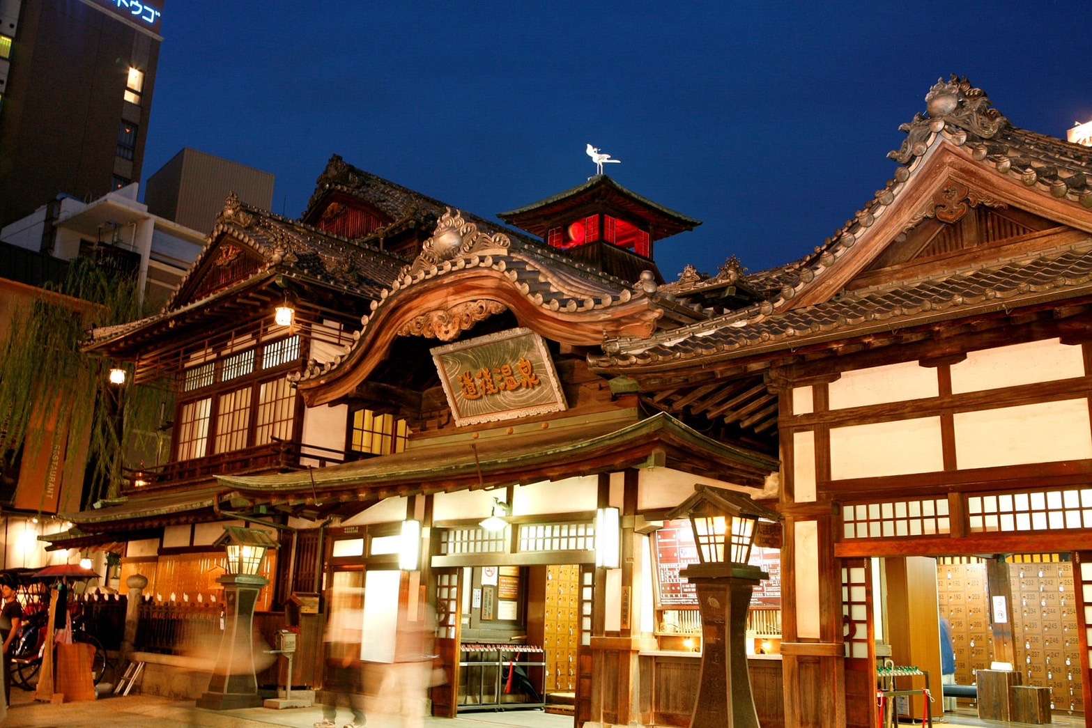 長榮航空今起直飛日本愛媛松山 航班時刻曝 S 41304066