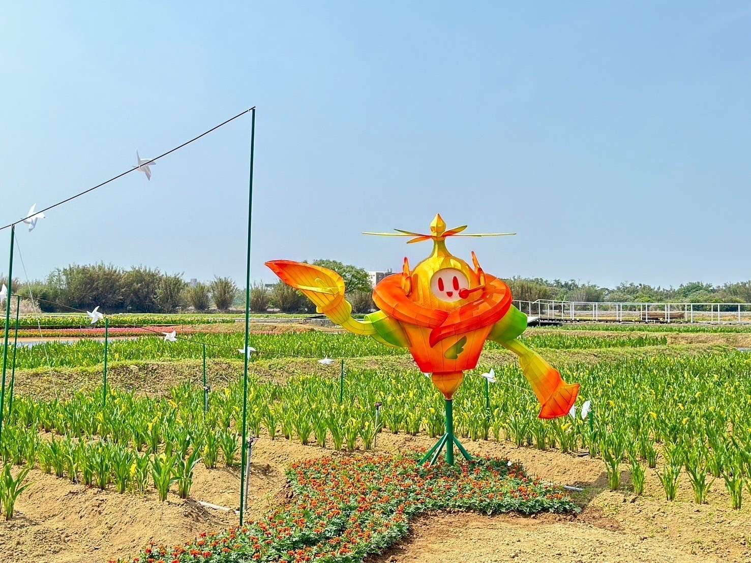 大園溪海花卉農遊趣春季展區3/30起登場 桃園農業局邀你徜徉浪漫花海 S 59220029 0