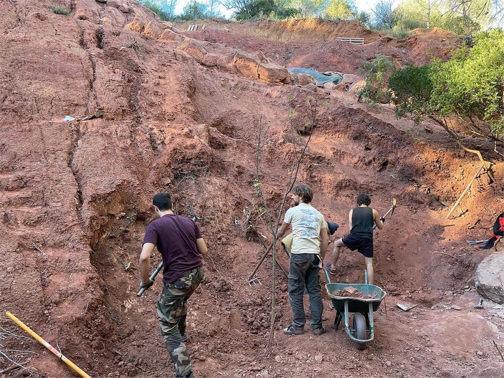 他遛狗發現7千萬年前動物化石 下秒驚見「泰坦巨龍」出土!