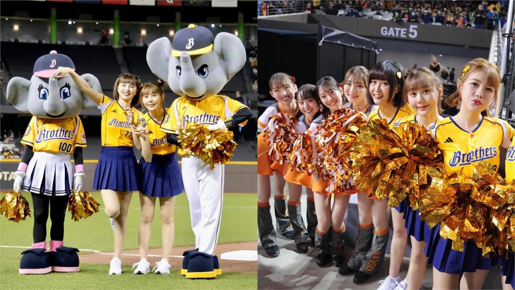台日大賽「轉播猛拍啦啦隊」!日本球迷:太衝擊