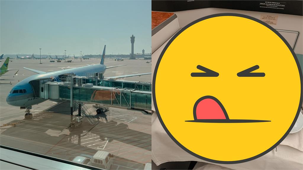 南韓知名航空擁有「全球最棒飛機餐」 實測記者狂讚:比餐廳好吃