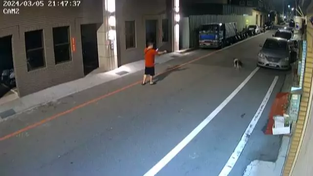 【有片】流浪狗路邊睡覺 突遭怪男持空氣槍掃射 【有片】流浪狗路邊睡覺 突遭怪男持空氣槍掃射