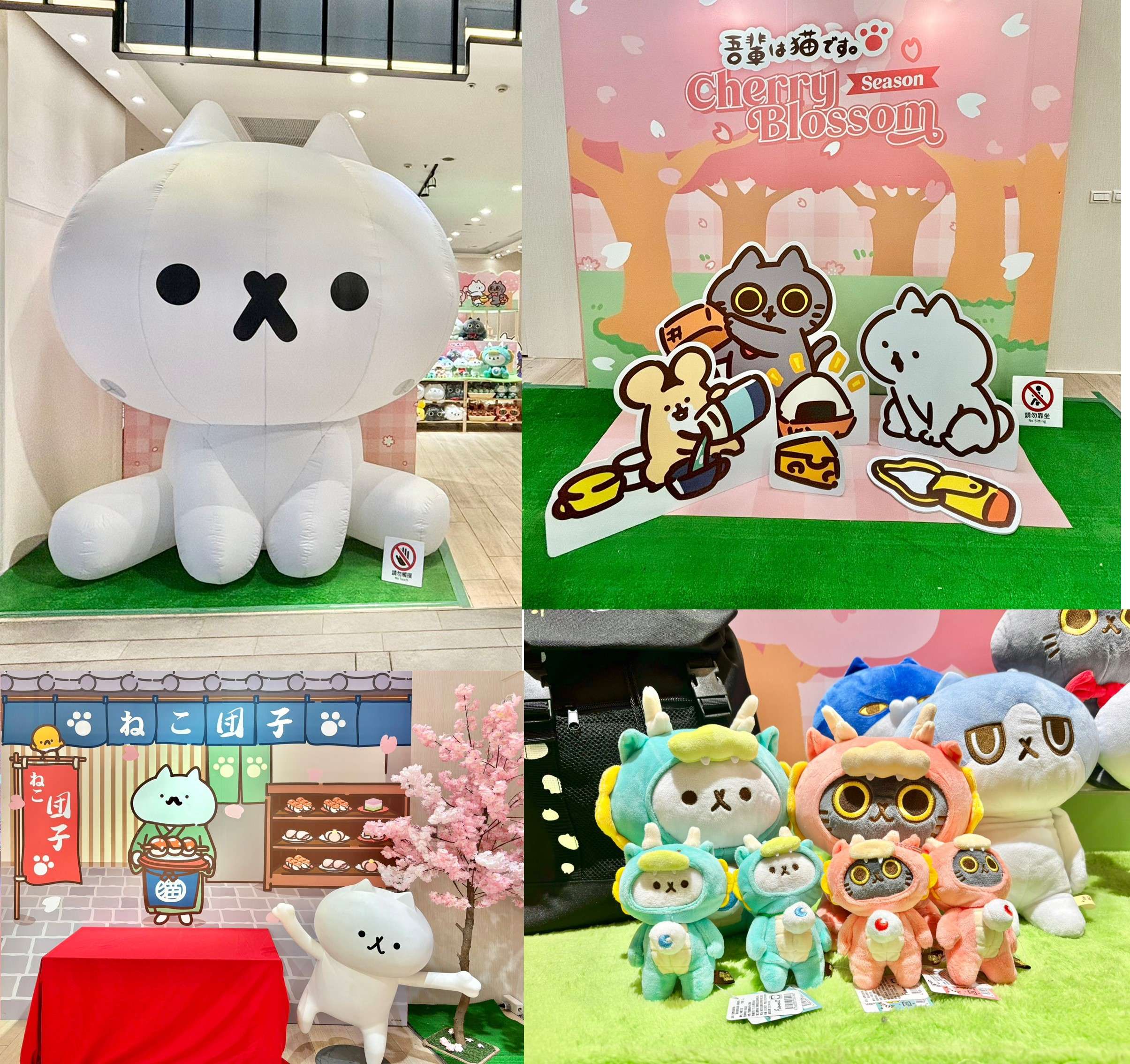 反應過激的貓櫻花時光 在三創生活園區一樓粉嫩登場囉! 001