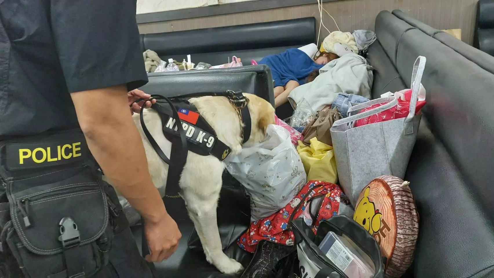 桃警持續落實雷霆除暴 緝毒警犬助陣提升量能 1792010 0