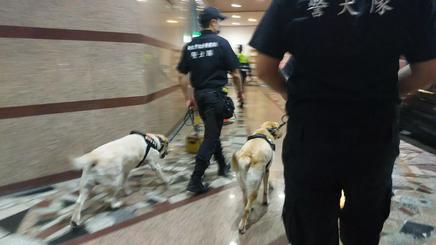 桃警持續落實雷霆除暴 緝毒警犬助陣提升量能 1792012 0