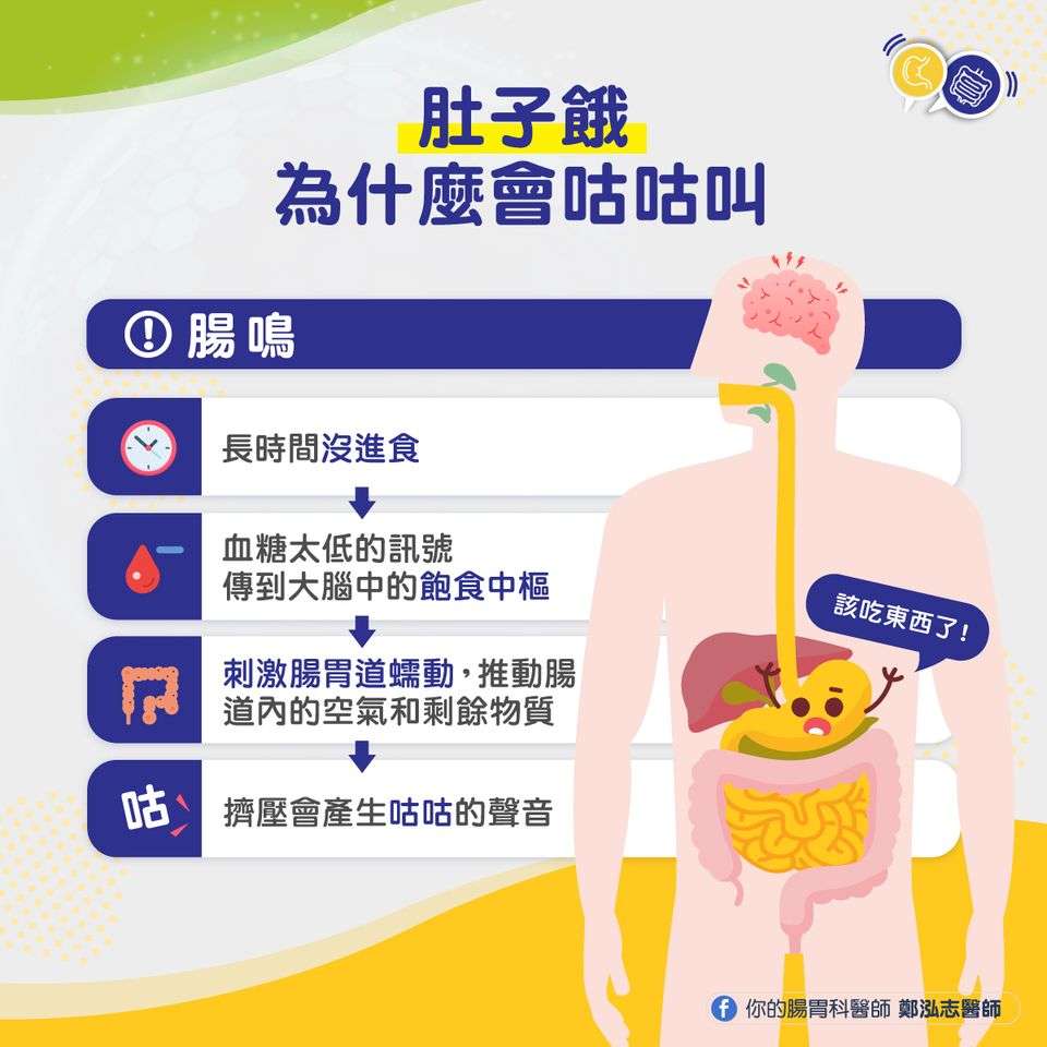 肚子狂叫不一定是餓了 醫:恐是1疾病警訊 432767564 286848074442048 7214681099244572692 n