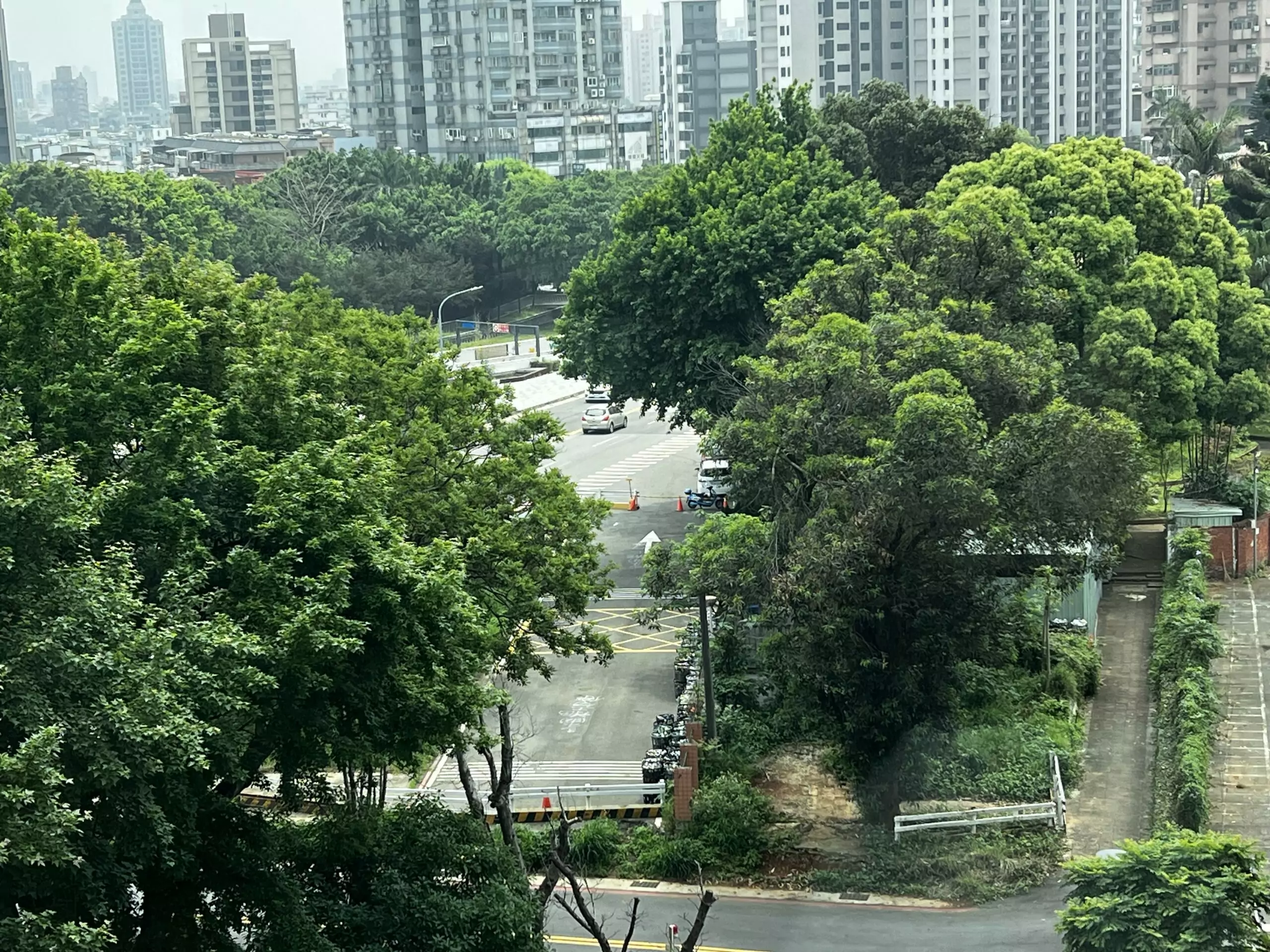 議員王珮毓爭取設置籃球場 活化平鎮公29公園用地 5EE28C68 9A3A 4CE9 979B 7F69799FDE16 scaled