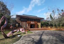 小確幸!拉拉山國家森林遊樂區5/1起門票調降