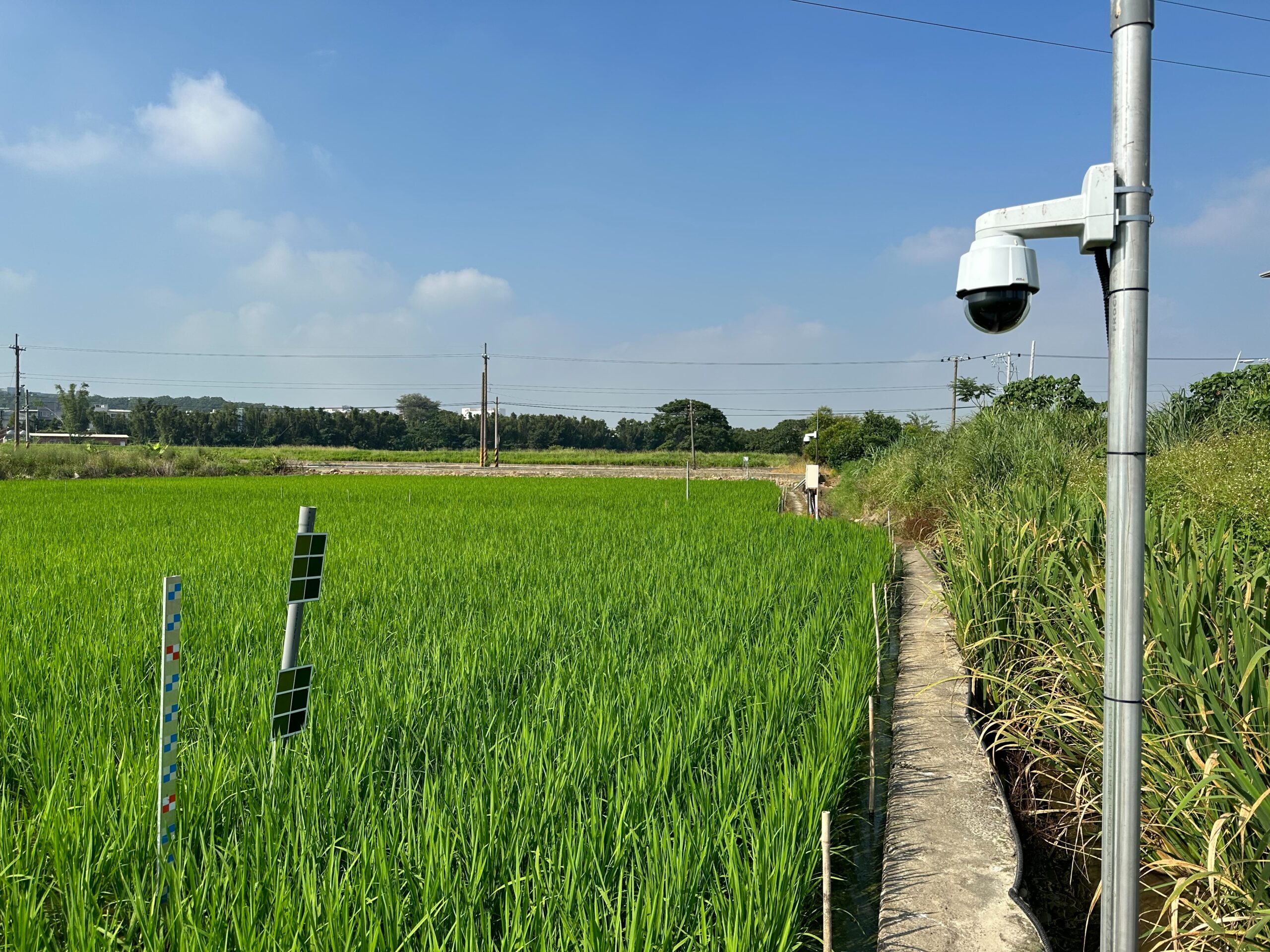 積極朝永續發展目標前進 桃園污水建設成果獲中央肯定 FARM scaled
