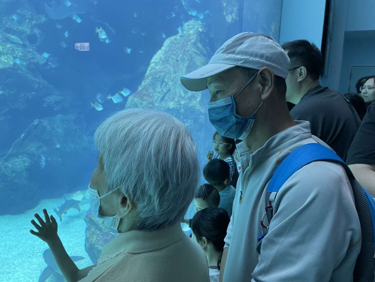 部桃日照中心戶外適應活動前進水族館 長輩、家屬共創美好回憶