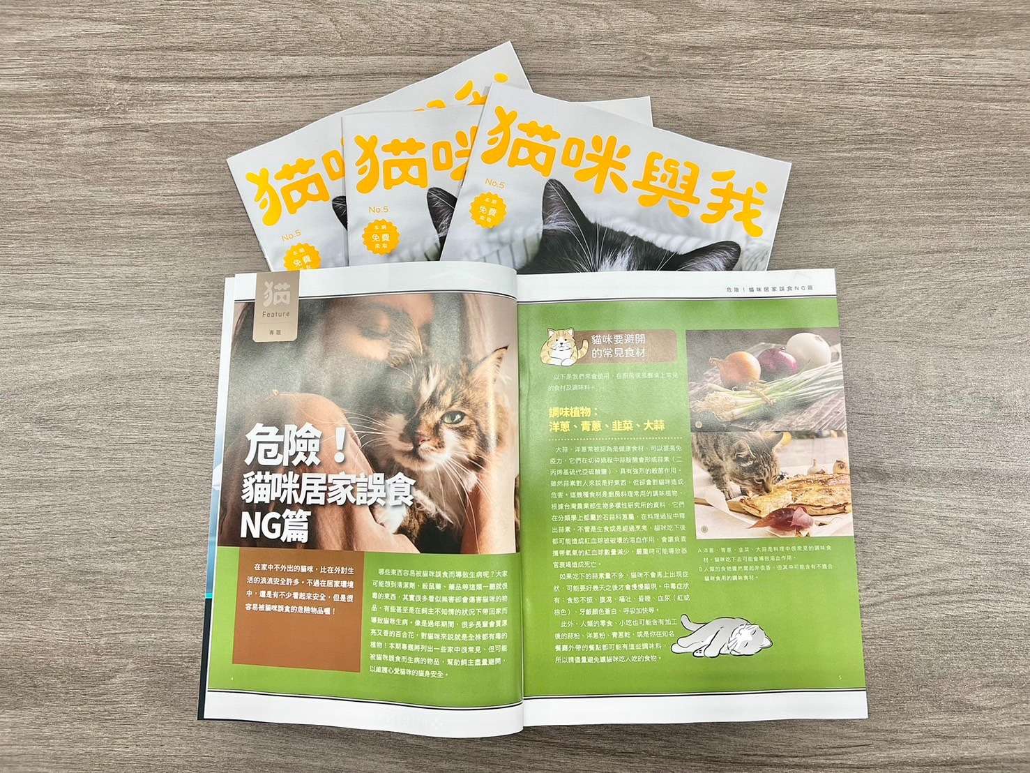 從怕貓到6貓家族!邵庭在《貓咪與我》告白和貓咪一見鐘情的故事 S 81904439 0 1