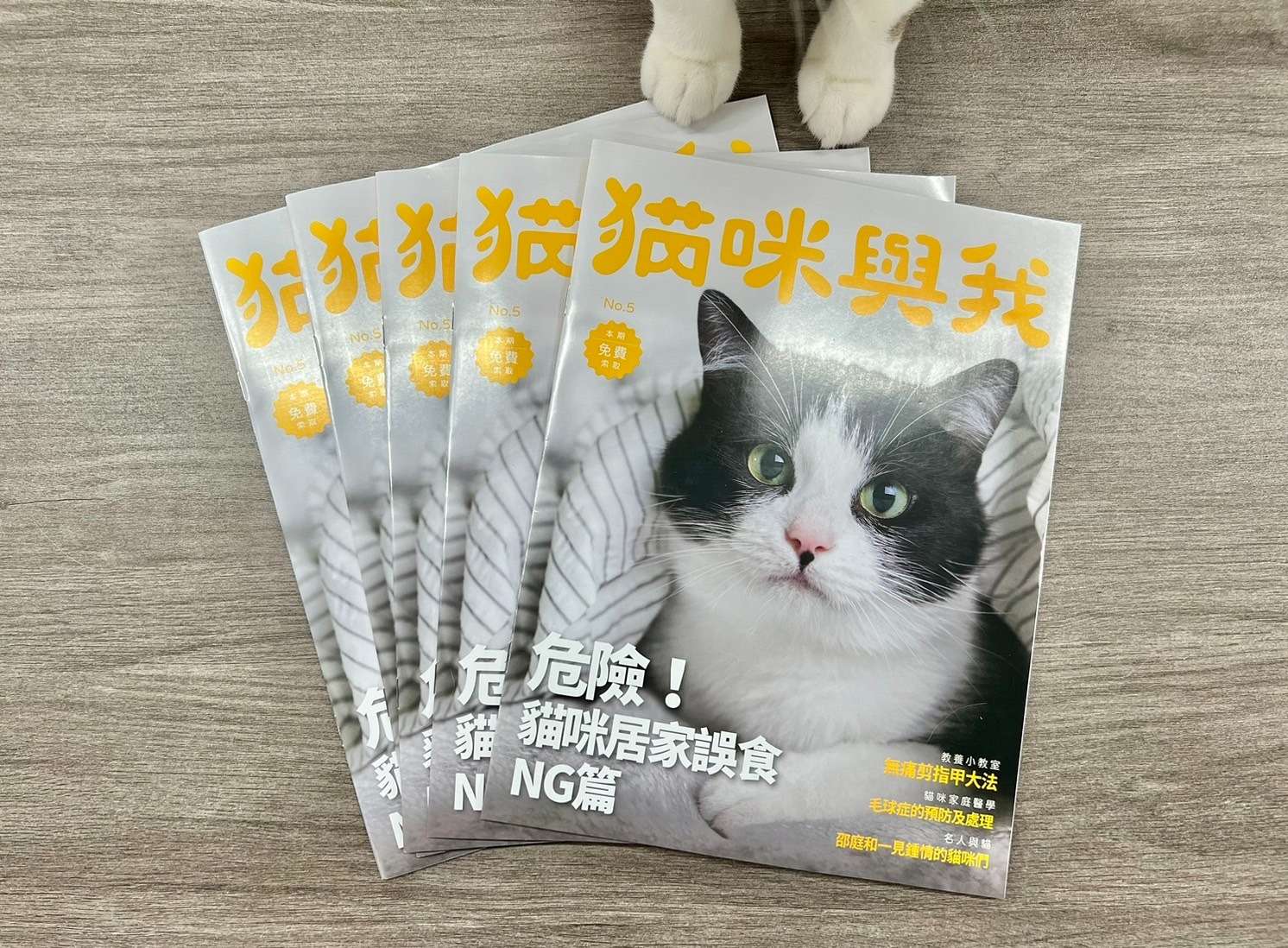 從怕貓到6貓家族!邵庭在《貓咪與我》告白和貓咪一見鐘情的故事 line oa chat 240409 141656