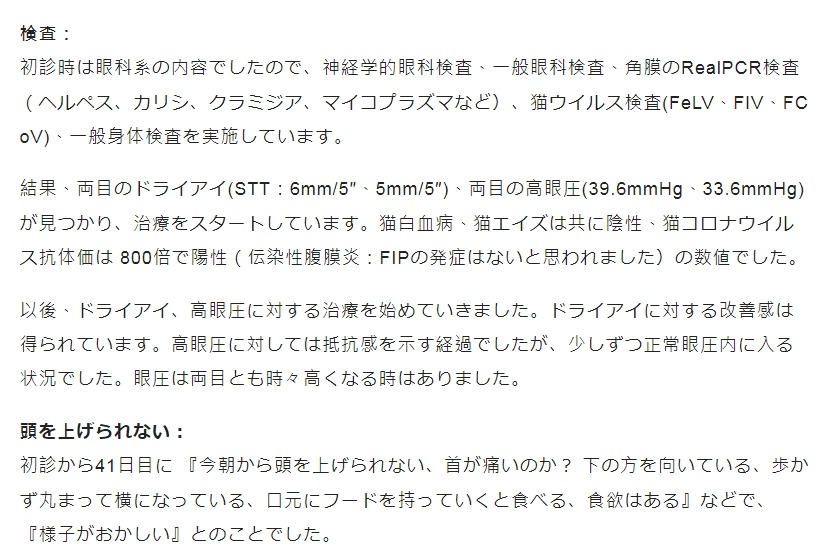 貓咪食安風波!低血鉀疑似與新冠病毒有關 line oa chat 240430 113150