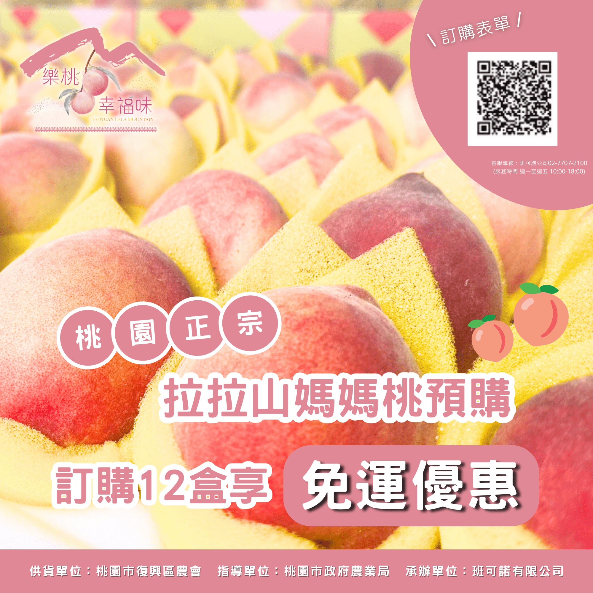 桃園正宗拉拉山媽媽桃預購 ！訂購12盒享免運優惠 1