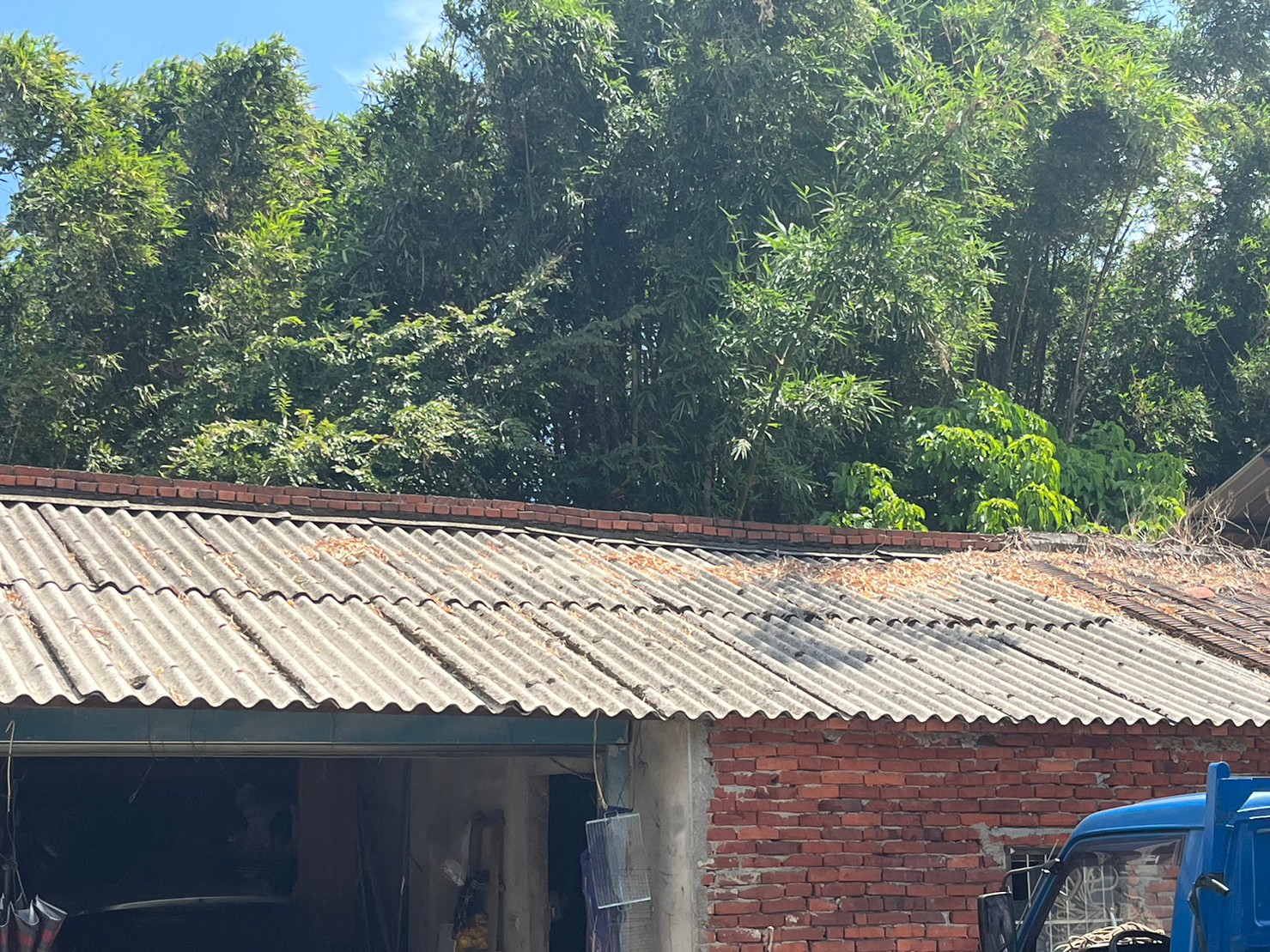 副刊/留住時間的山中秘境:三貂嶺車站,步道和隧道(下) 1