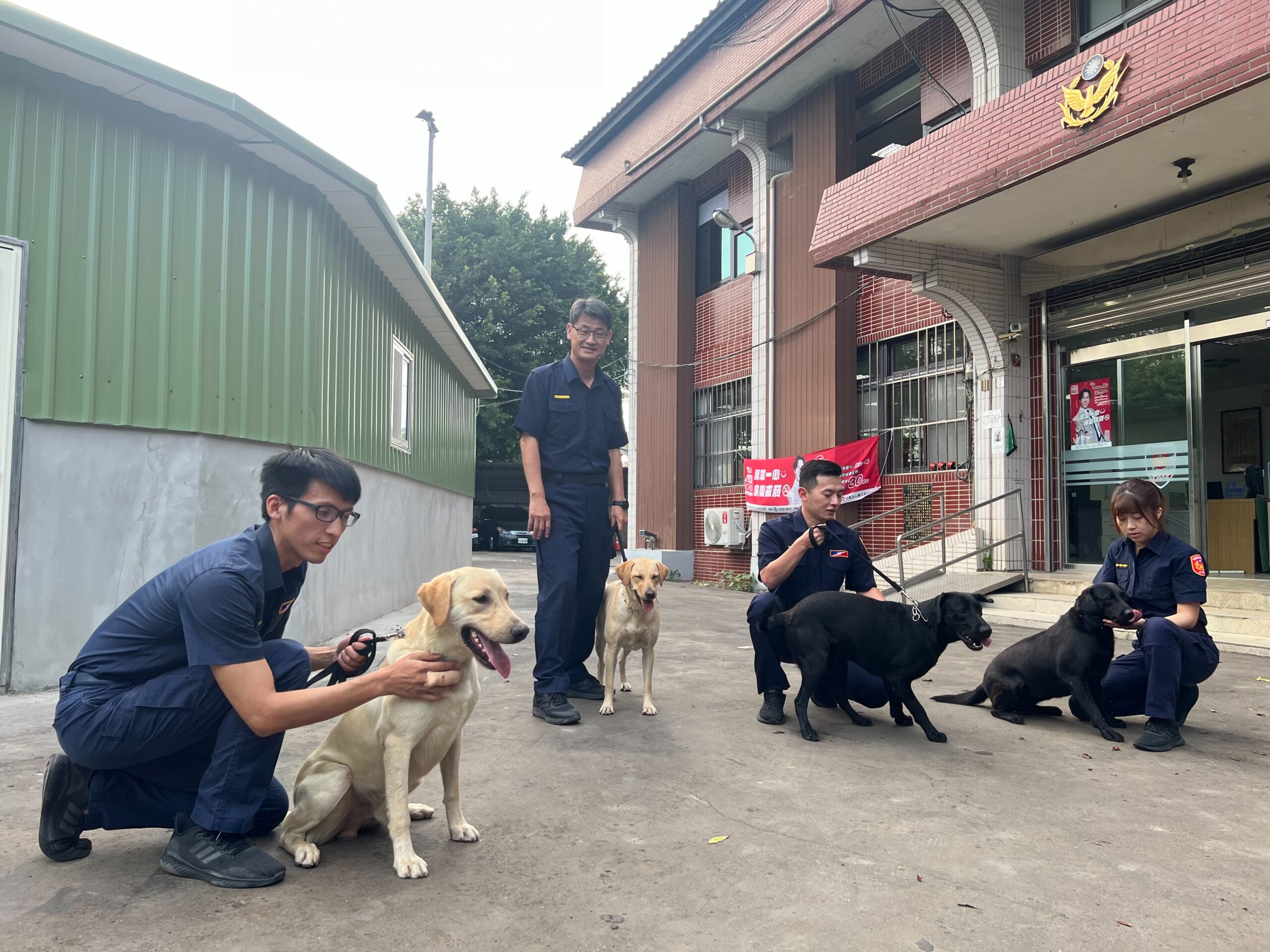 桃園警犬隊正式成軍!4執勤犬報到萌樣曝光 S 96796693 scaled