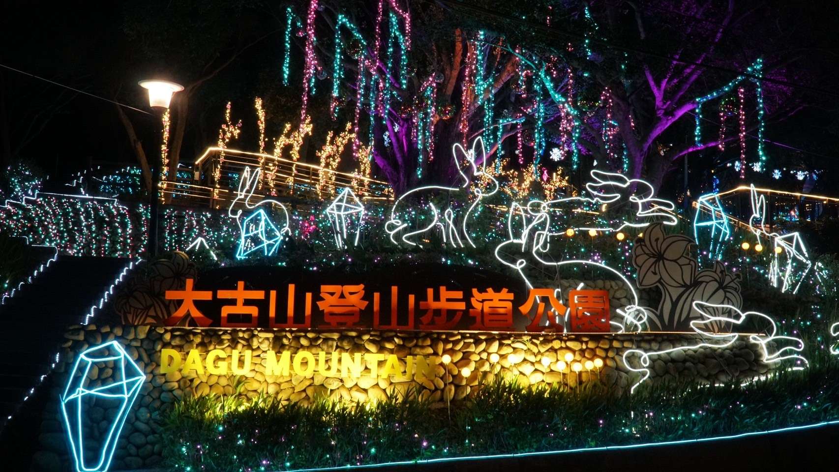 「蘆竹炫YA農遊季」接駁車資訊報你知 桃捷邀您賞燈、看夜景、拍美照 gd54y45yr