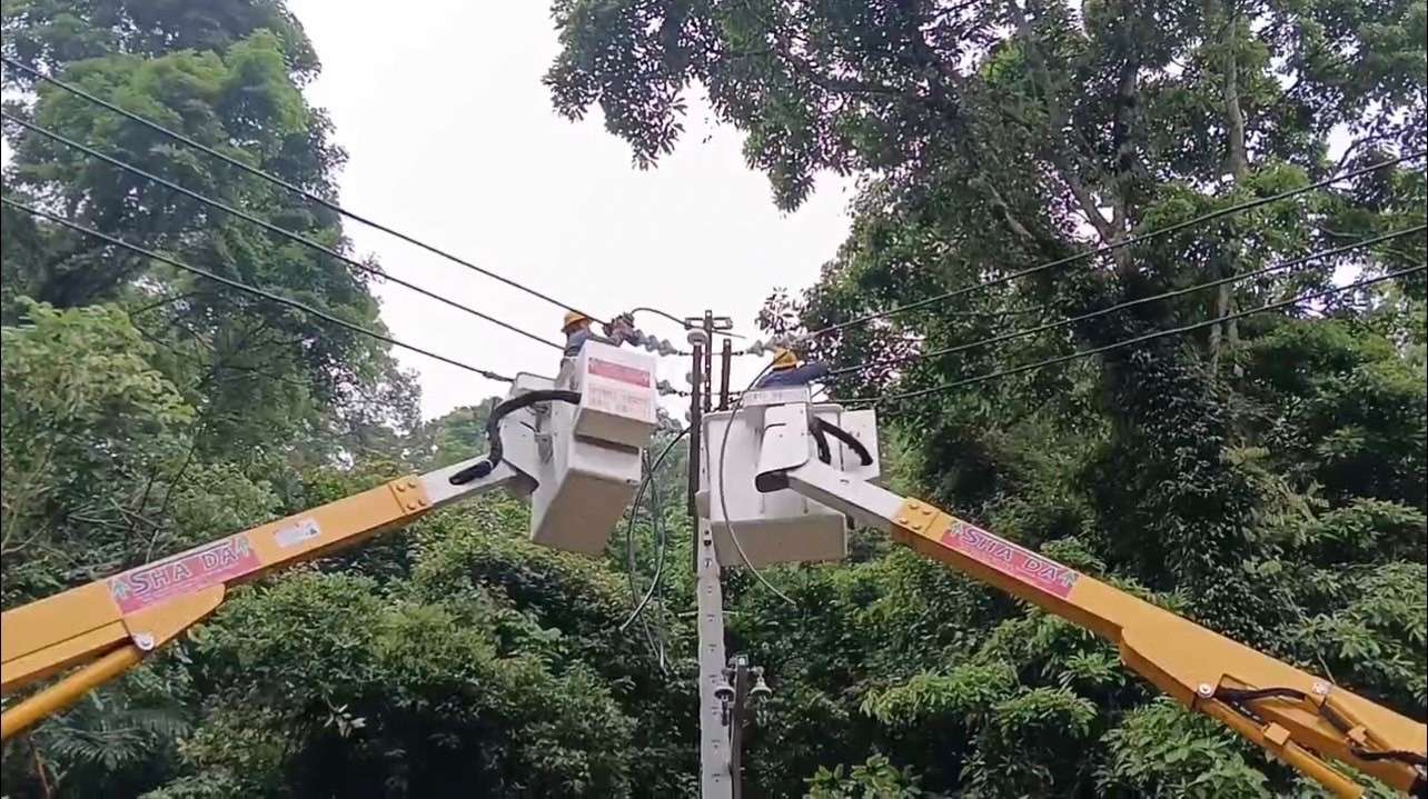 凌濤質疑桃園頻繁停電「有隱情」 台電:政治陰謀論適可而止 wHandNews Image