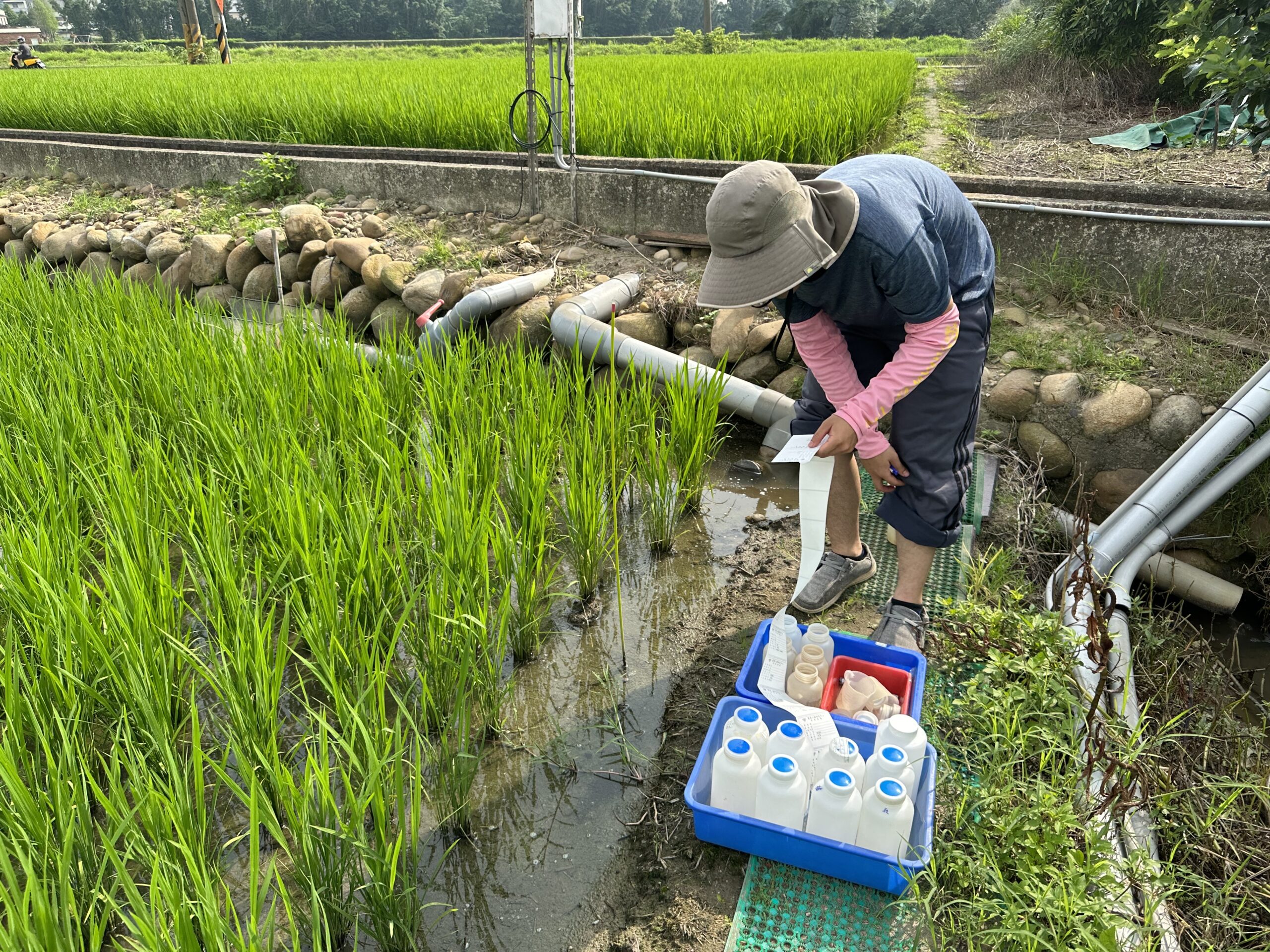 桃園水務局推動放流水灌溉 「碳吉米」 落實永續兼顧食安 供灌田區定期進行水質監測 scaled