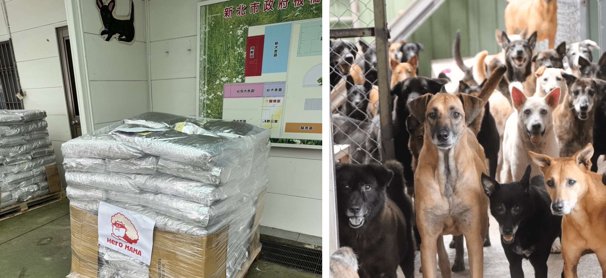 圖2，霸氣捐贈一萬公斤飼料至新北市動保處 0