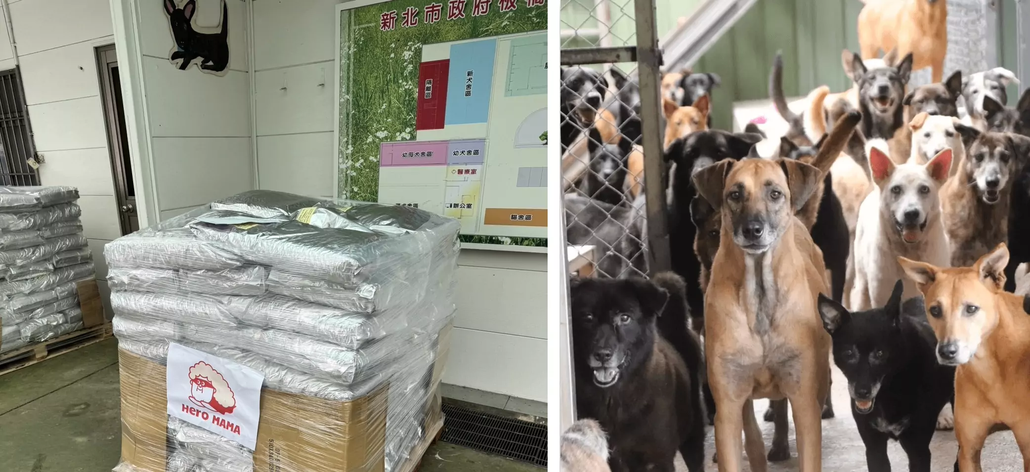 圖2，霸氣捐贈一萬公斤飼料至新北市動保處 0