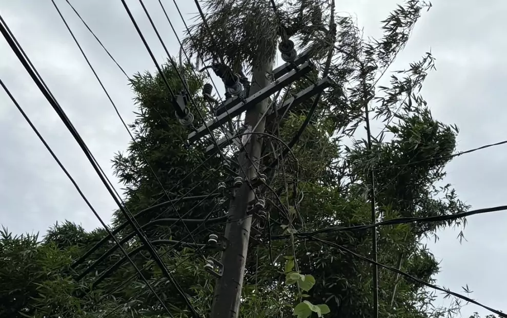 桃市又停電 台電曝原因 桃市又停電 台電曝原因