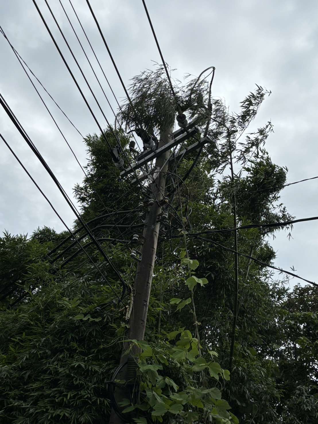 桃市又停電 台電曝原因 S 32546862
