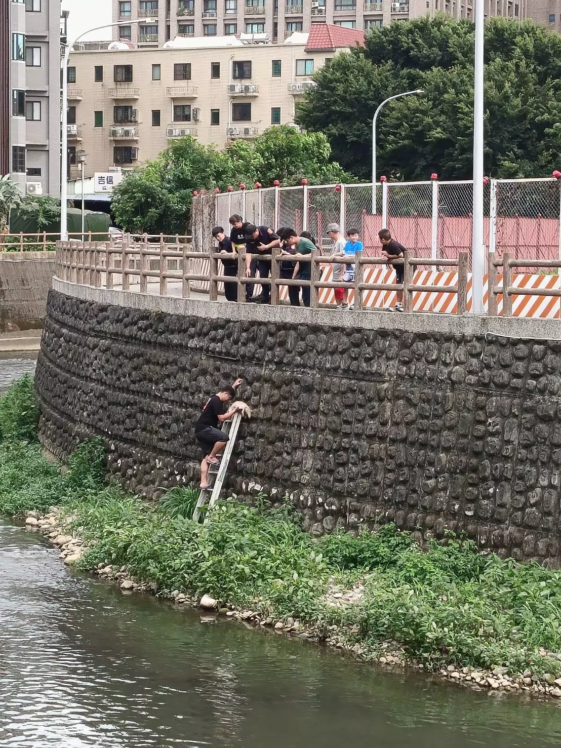 2兄弟為救狗勇跳河堤 中壢警扛梯救援助脫困 2兄弟為救狗勇跳河堤 中壢警扛梯救援助脫困