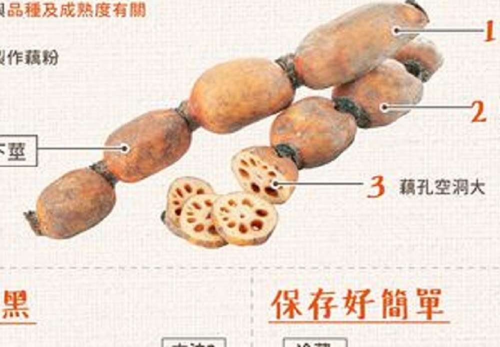 吃蓮藕正當時 3步驟挑選鮮嫩好滋味