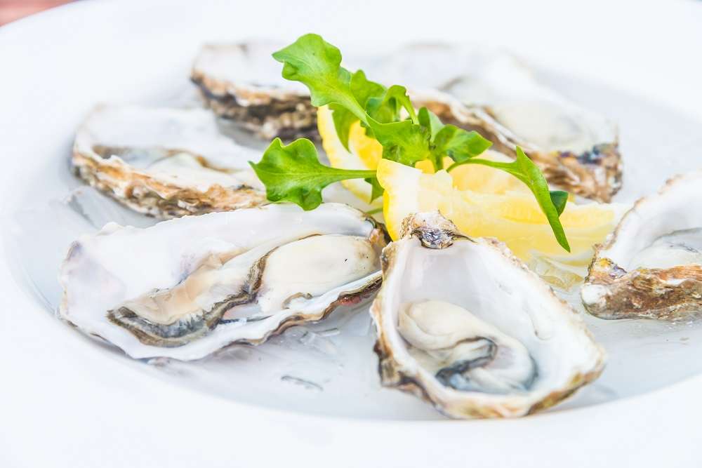 肥美鮮蚵煮成這一鍋 美味又健康