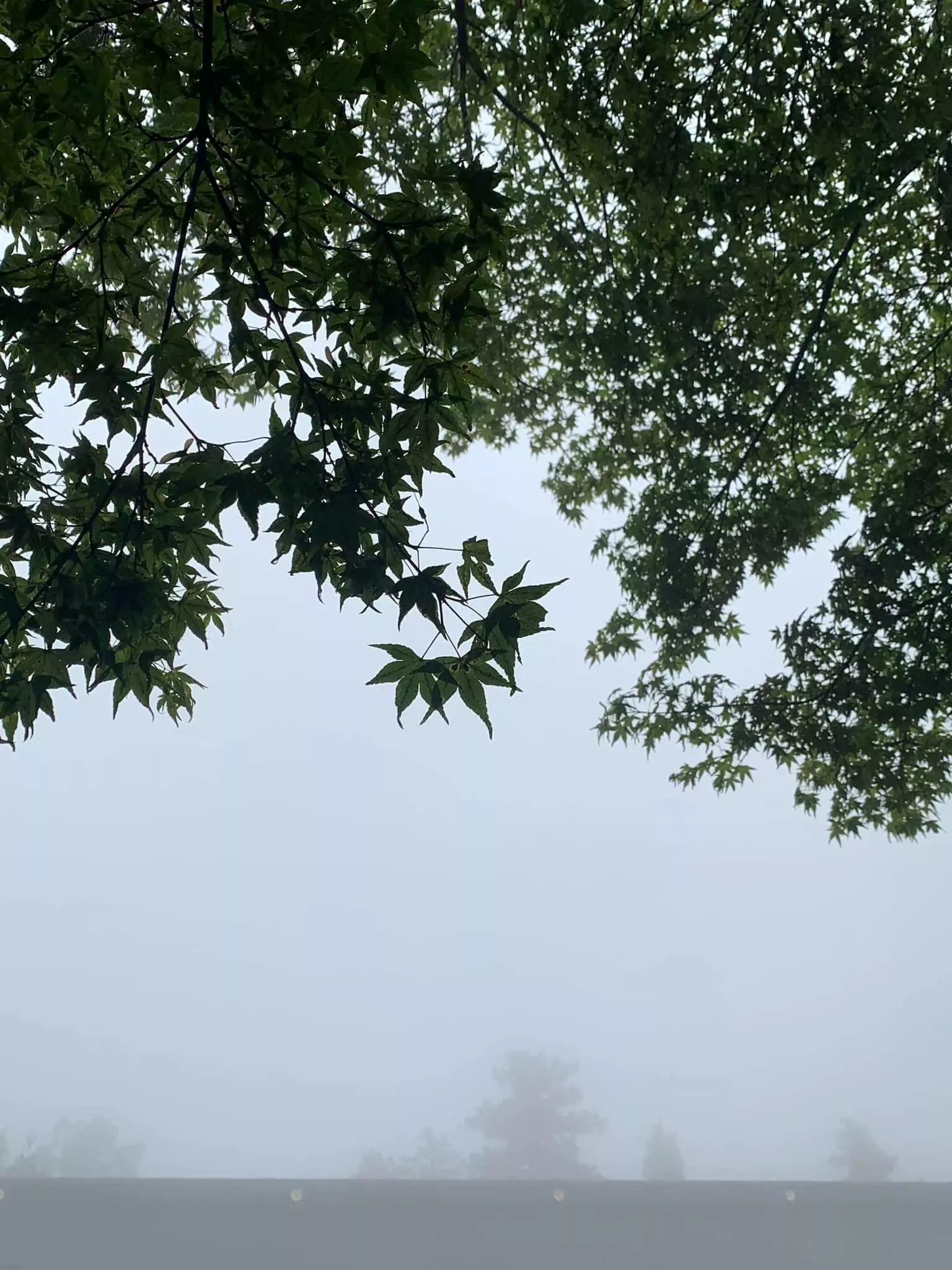 副刊/幸福的所在——寫給十七歲的小女孩 0712幸福的所在二