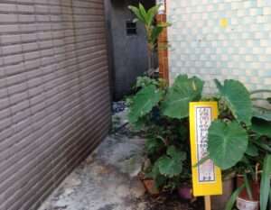 桃園分署拍賣會買氣旺 2搶手土地拍出逾129萬