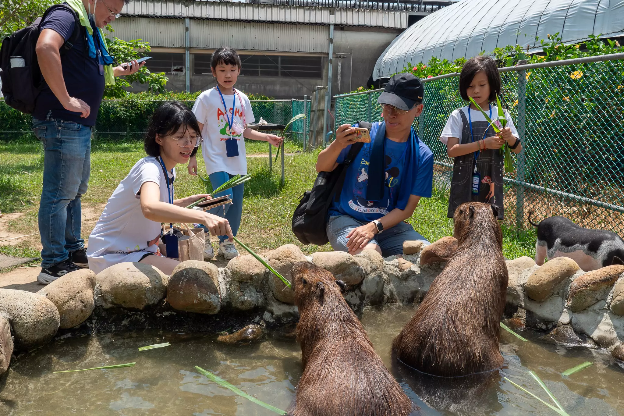 蘆竹炫YA夜農遊季獲好評 桃園農業局曝秋季限定活動熱身中 蘆竹炫YA夜農遊季獲好評 桃園農業局曝秋季限定活動熱身中