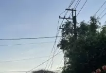 桃園又停電!中壢、八德4961戶受影響 台電揭原因 桃園又停電!中壢、八德4961戶受影響 台電揭原因