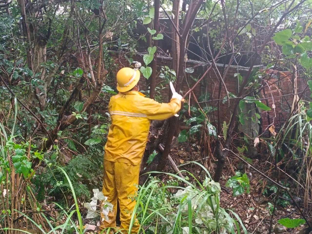 台電桃園區處迎戰強颱凱米 緊急成立應變小組嚴陣以待 S 87277673 0