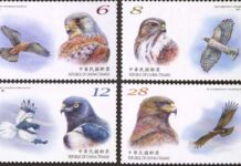 中華郵政推出2024年保育鳥類郵票 4猛禽展現生態之美