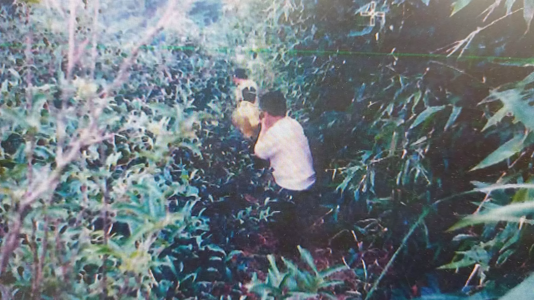 遲來的正義!28年前新北棄屍案因良心告發重啟調查終揭真相 1923312