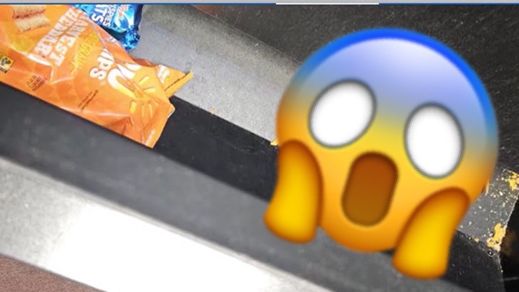 自動販賣機會咬人？真相曝光