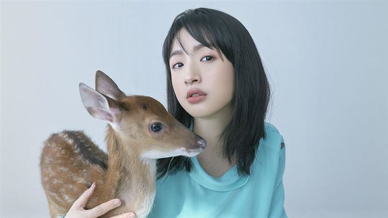 林依晨為何是「零負評女神」 原因曝