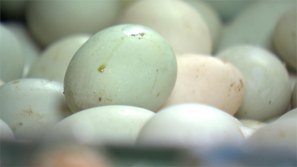 鴨蛋一斤飆破50元 帶動月餅價格