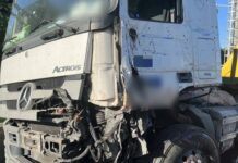 【有片】國1大貨車、半聯結車碰撞 3隻小豬車道上趴趴走