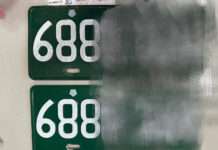 酒駕男車牌被吊扣 網購偽牌罪加一等