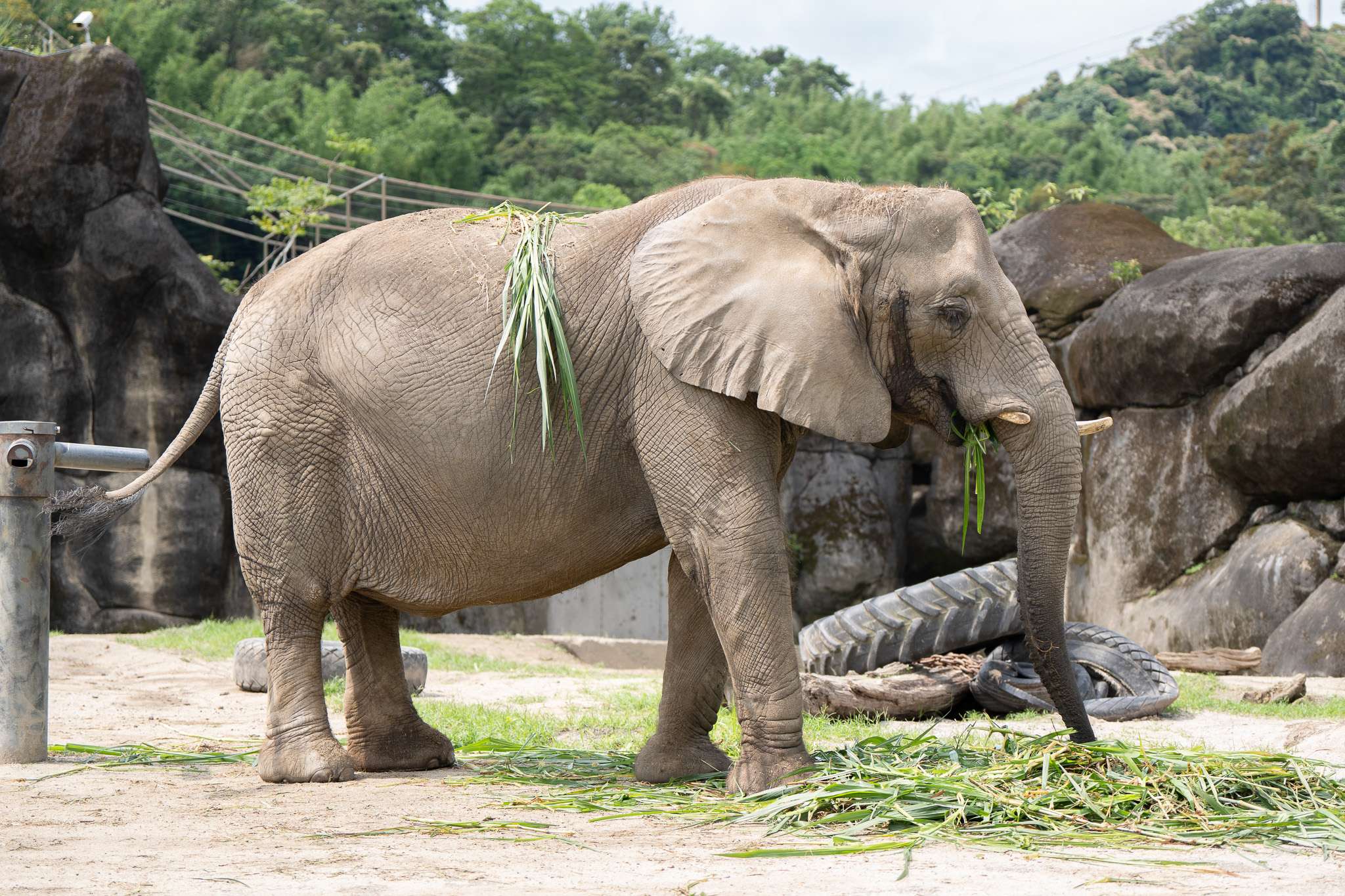 到動物園歡度3節日 拿精美好禮