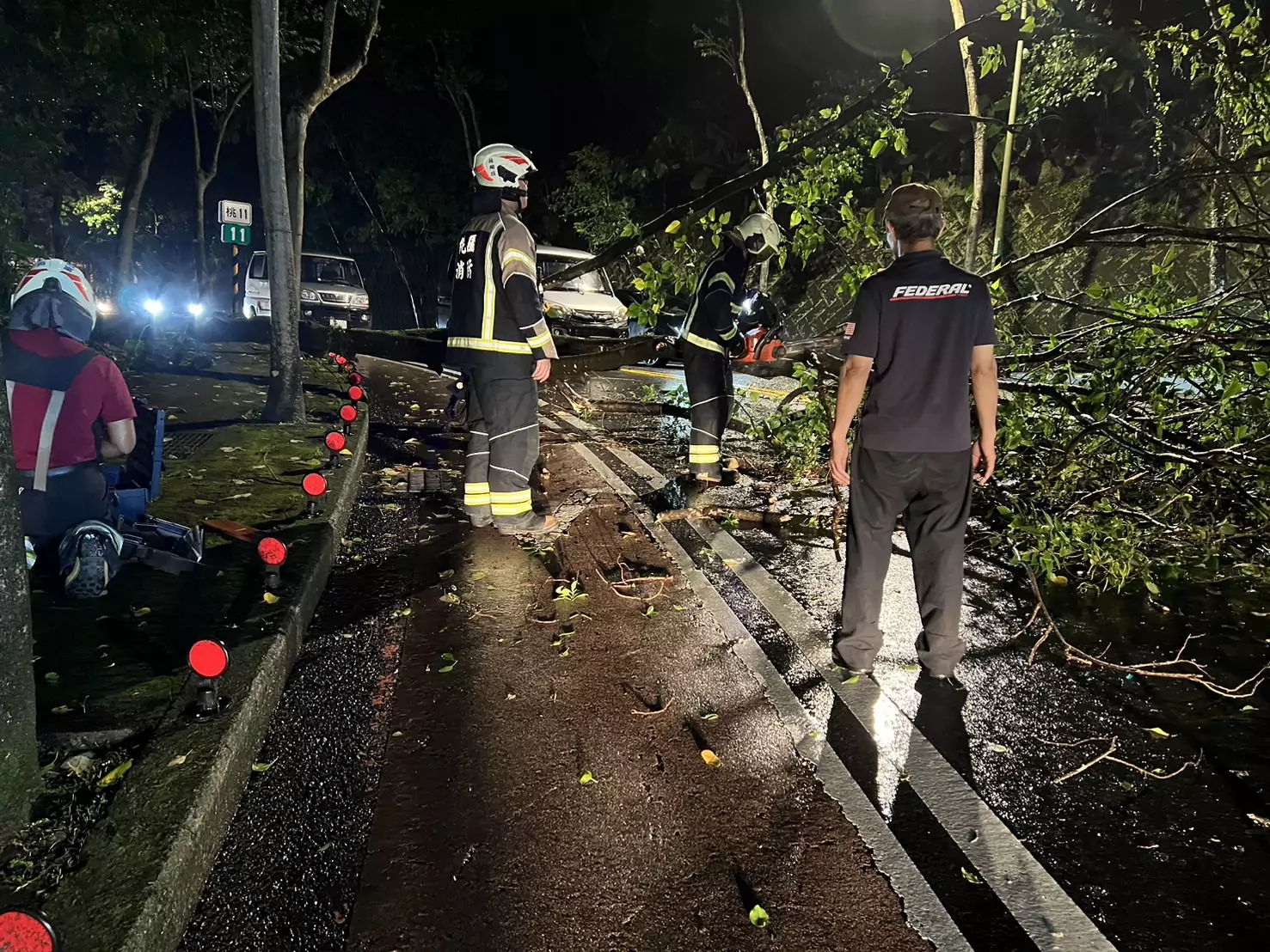 午後大雷雨成功路樹木倒塌 警消迅速處理恢復交通 午後大雷雨成功路樹木倒塌 警消迅速處理恢復交通