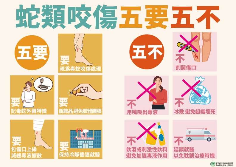 女子上山工作遭毒蛇咬傷 桃消迴龍分隊緊急救援 疾管局圖片
