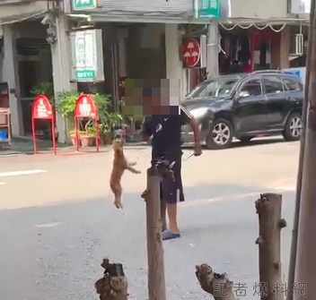 10歲童涉當街虐狗 家長已同意放棄飼養