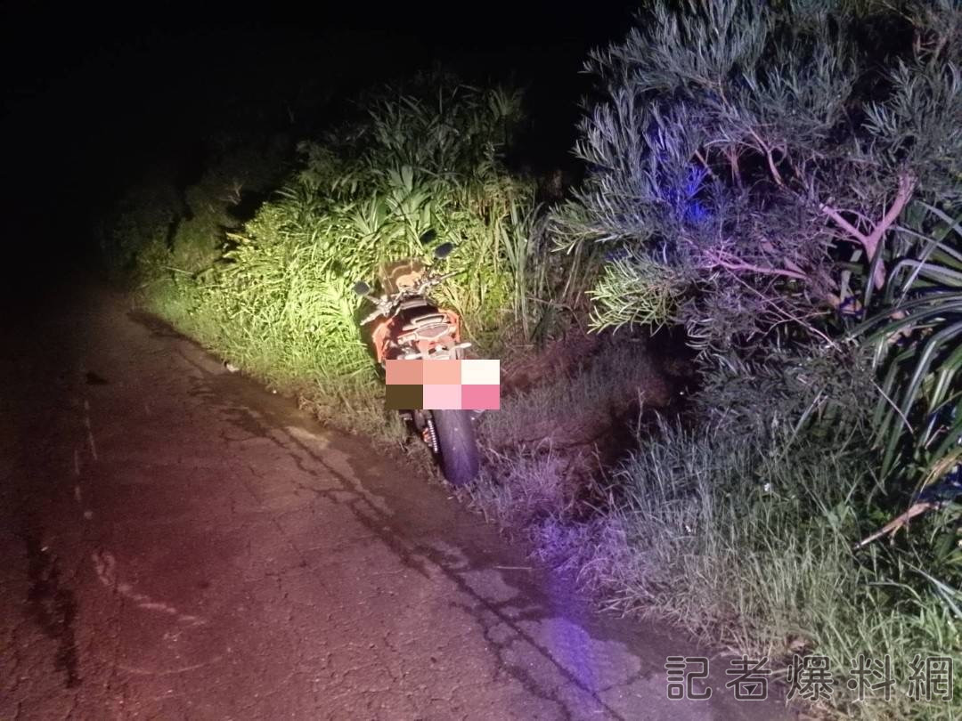【有片】梅花鹿突衝出 紅牌重機騎士慘摔