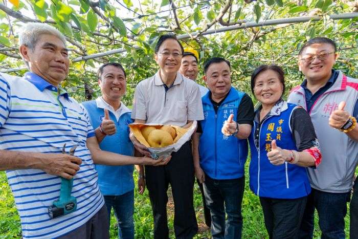 楊梅區推廣寶島甘露梨 特色農產品吸引市民品嘗 20240831201428618