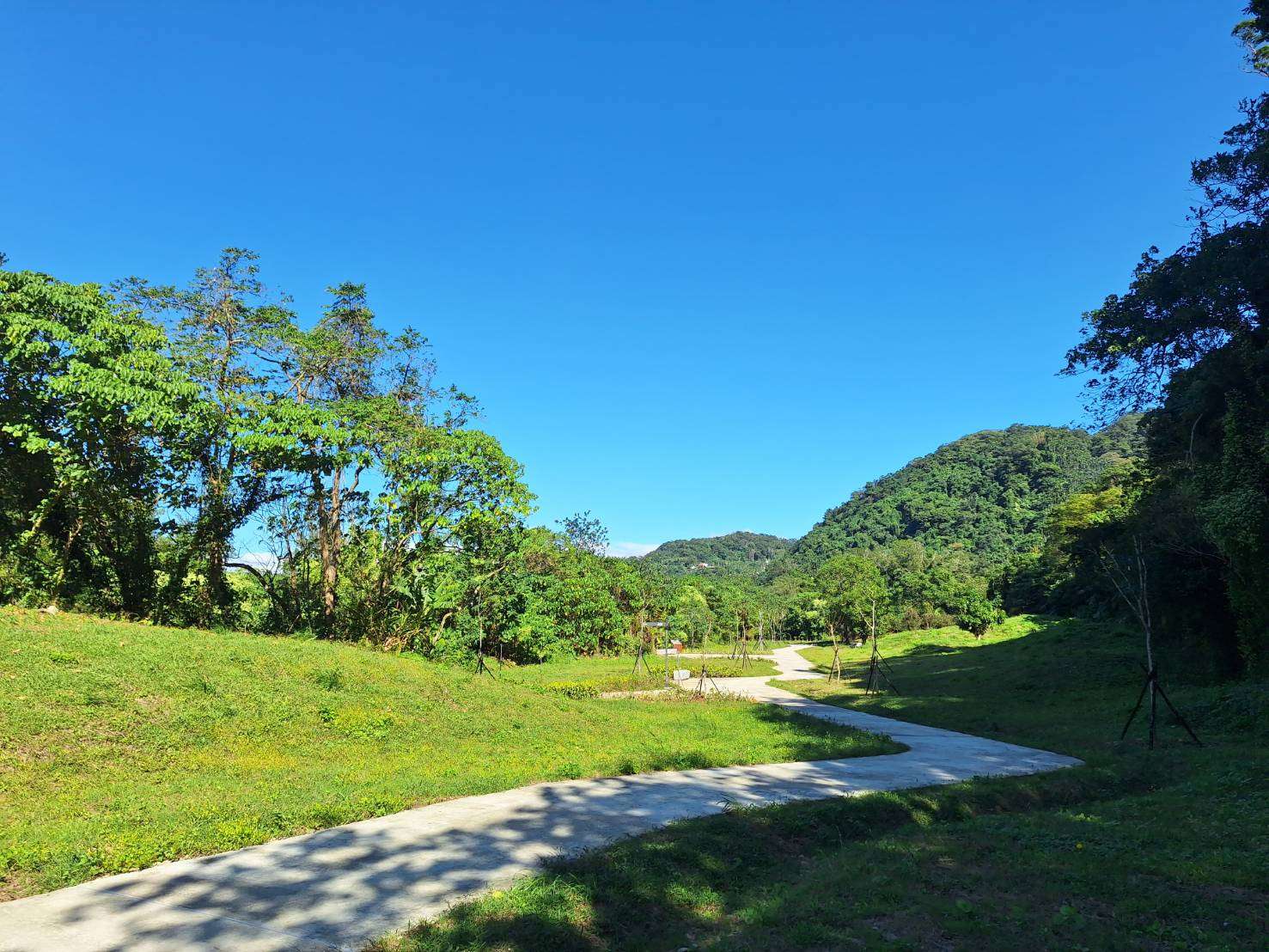 大漢溪山豬湖園區導入固化土鋪面 減緩熱島效應提升舒適度 345